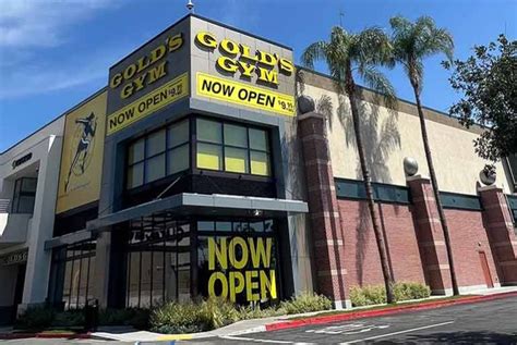 Gold's gym northridge - Northridge is sheer perfection and is waiting for you to get your fitness ON. This gym is brand new and is truly well appointed. Eleiko Platforms, an Escape Room for a more secluded workout, Thrive Semi Personal training, boxing area with heavy bags, massive weight room with dumbbells up to 150 pounds , functional turf, Les Mills The Trip, top ... 
